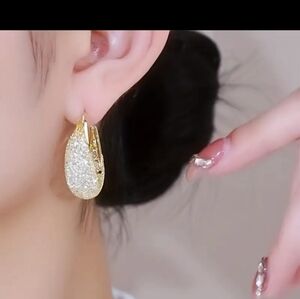 New Gold Mesh Crystal Earrings